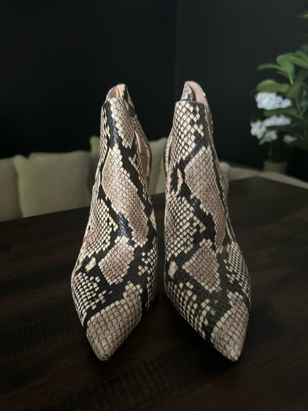 Aldo Snake-Print Booties - Beige/Black - Picture 2 of 5
